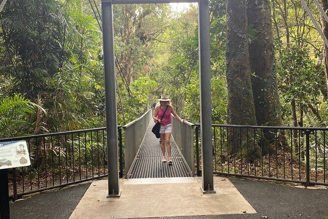 Mossman Gorge Daintree Experience Small Groups - Food and Beverage