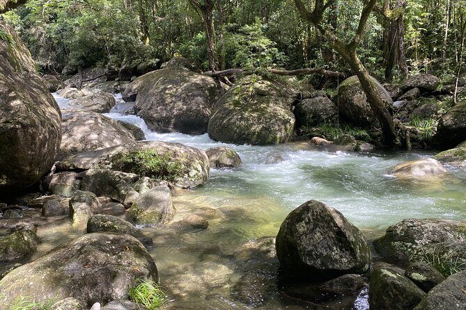 Mossman Gorge Daintree Experience Small Groups - Pricing and Value