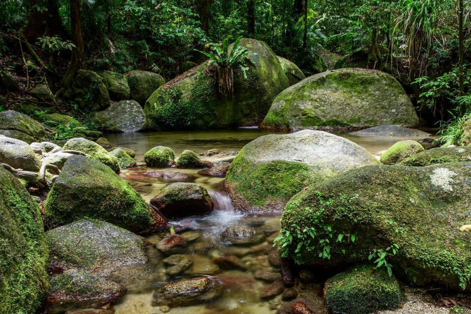 Mossman Gorge, Daintree Rainforest + Aboriginal Fishing Tour - Important Information