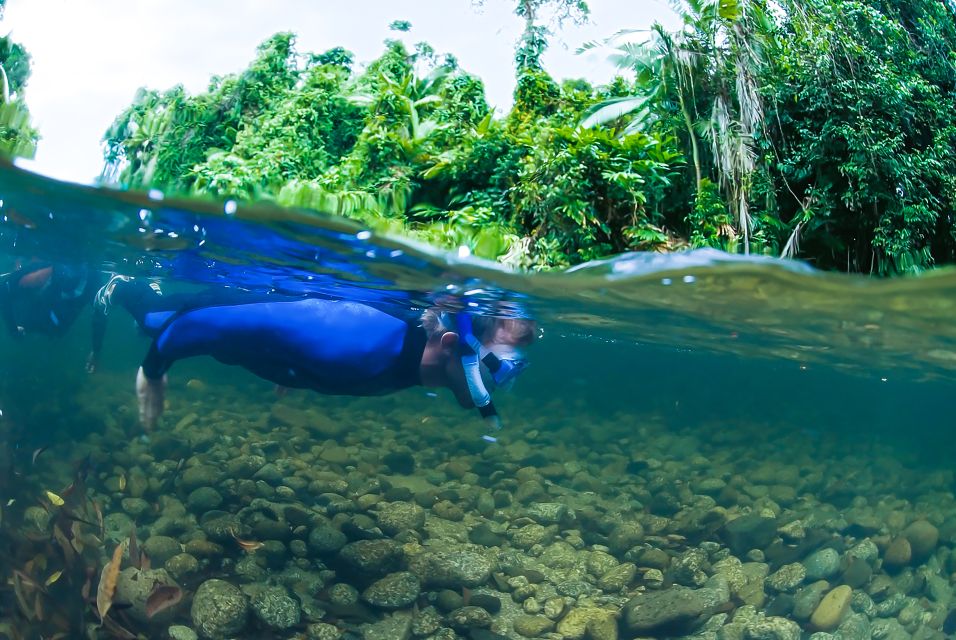 Mossman Gorge: Day Tour With River Drift Experience - Customer Reviews and Ratings