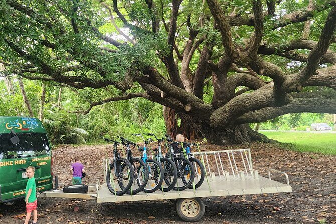 Mossman Highlights eBike Tour - Final Thoughts