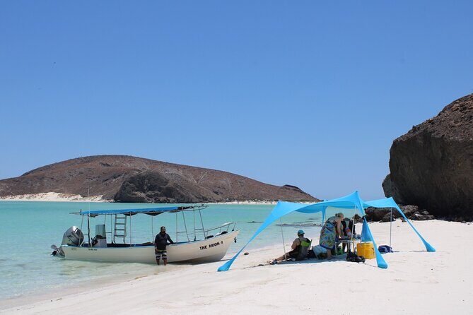 Most Popular Tour in La Paz Isla Espíritu Santo and Sea Lions - Key Points