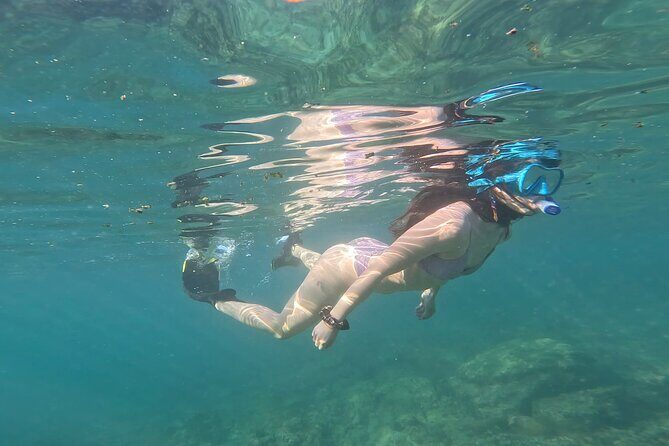 MOST POPULAR TOUR IN LA PAZ! Swim with Sea Lions Private Boat - Authentic Traveler Feedback