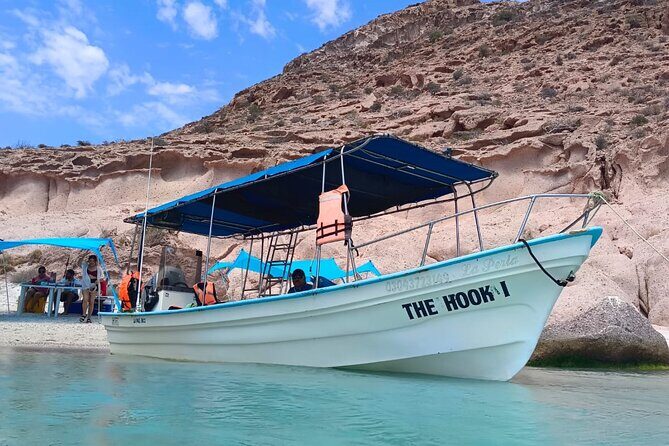 MOST POPULAR TOUR IN LA PAZ! Swim with Sea Lions Private Boat - Should You Book This Tour?