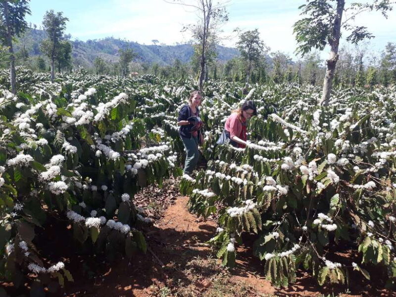 Motorcycle Tour - Countryside & Pongour Waterfall Day Tour - Itinerary Highlights