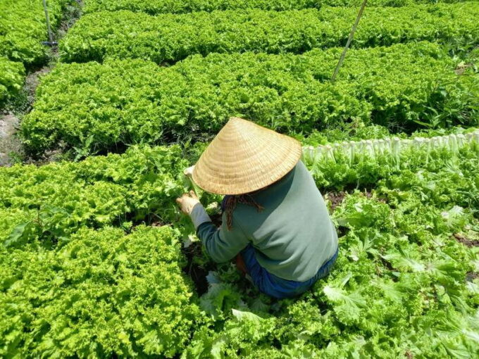 Motorcycle Tour - Exploring Dalat Countryside Day Tour - Customer Reviews and Ratings