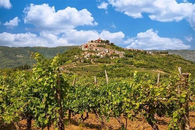 Motovun - Amazing Views & Tasty Truffles (From Rovinj) - Tour Logistics