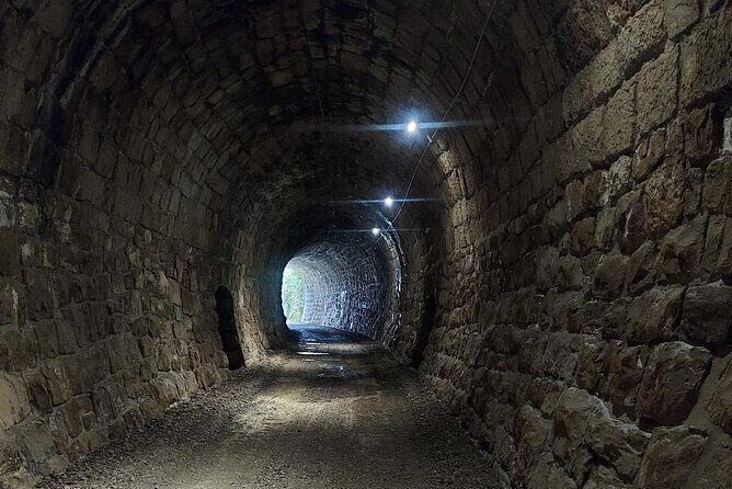 Motovun Area Hiking Tour with a Historian - Key Points