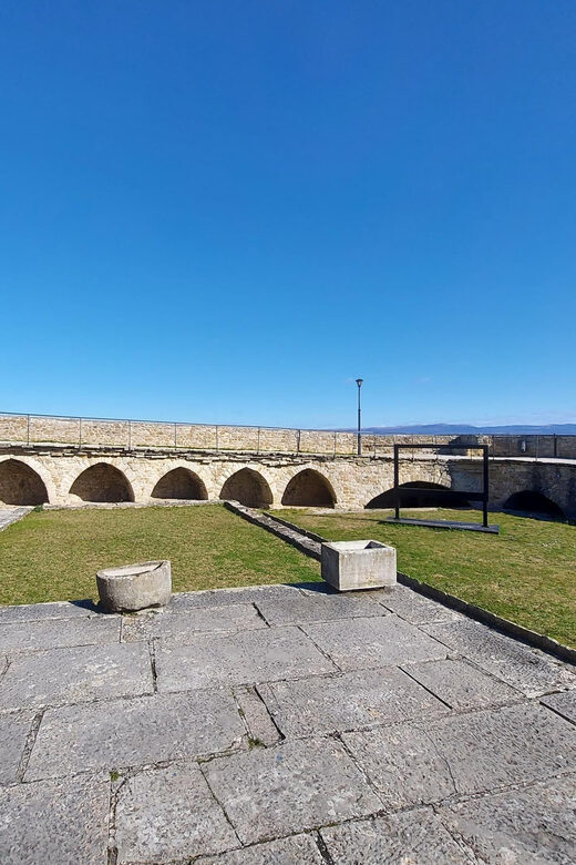 Motovun: The trail of Giants hiking tour & Fritule Tasting - Exploring the Trail of Giants & Fritule Tasting in Motovun: A Detailed Review