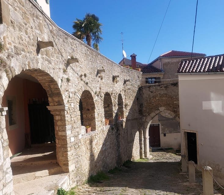 Motovun: The trail of Giants hiking tour & Fritule Tasting - Practical Details & Value