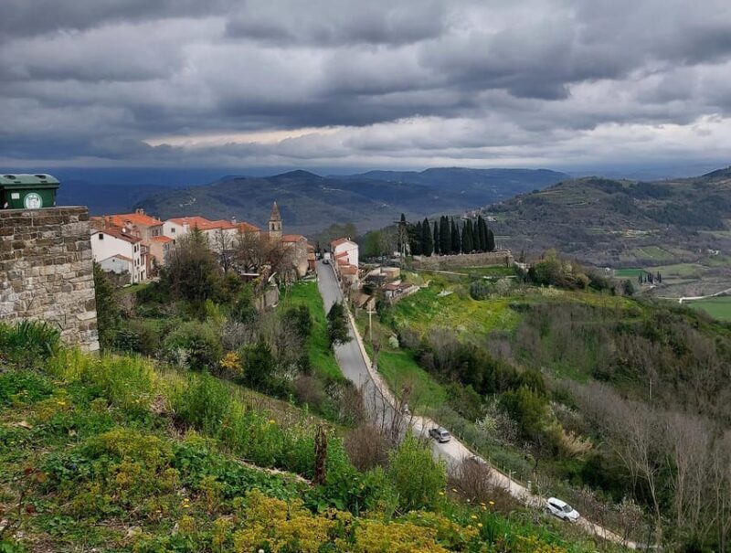 Motovun: The trail of Giants hiking tour & Fritule Tasting - Who Will Love This Tour?