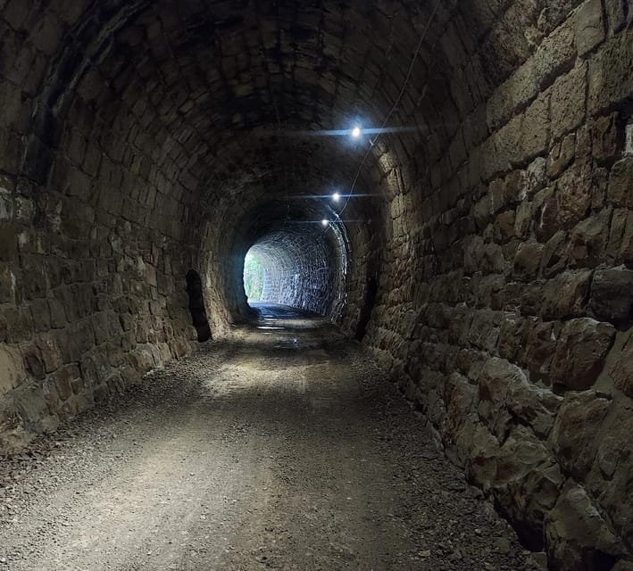 Motovun: the Trail of Giants Hiking Tour & Fritule Tasting - Important Information
