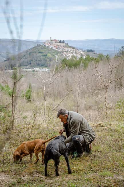 Motovun: Truffle Hunt & 3-Course Brunch with Locals - A Genuine Look at the Truffle Hunt & Brunch Tour in Motovun