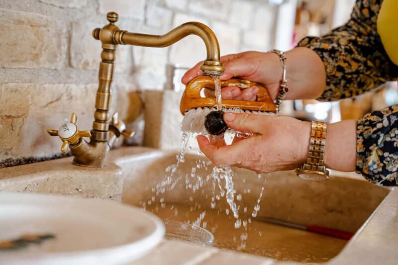 Motovun: Truffle Hunt & 3-Course Brunch with Locals - FAQ