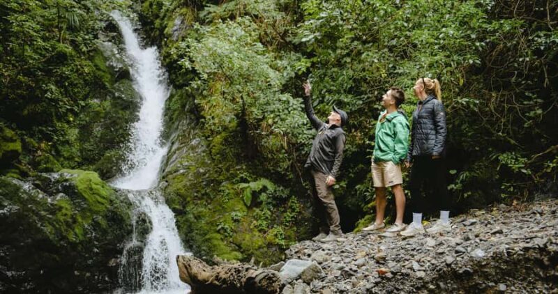 Motu River Jet Boat Tour - The Scenic Beauty of Native Bush and Remote Mountains  