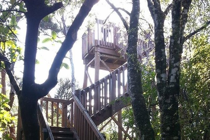 Motuara Island Bird Sanctuary and Ship Cove Cruise From Picton - Highlights of the Experience