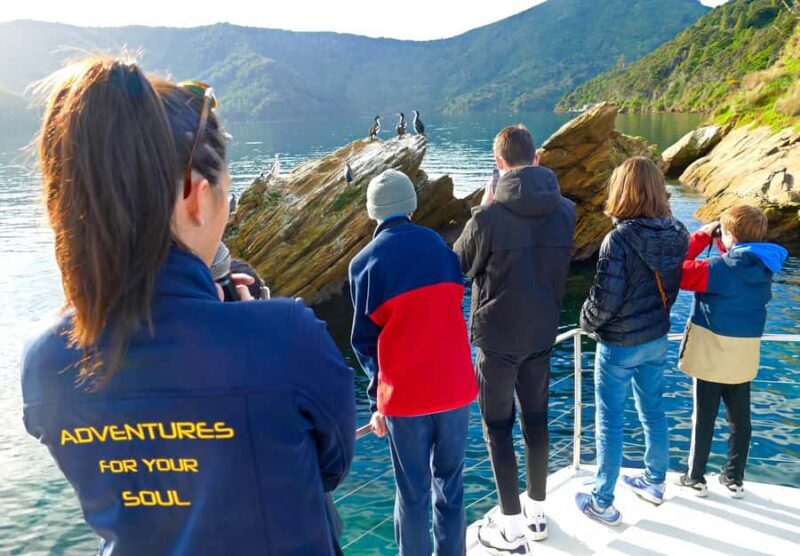 Motuara Island Sanctuary: Wildlife & Dolphin Watching Tour - Pricing and Value