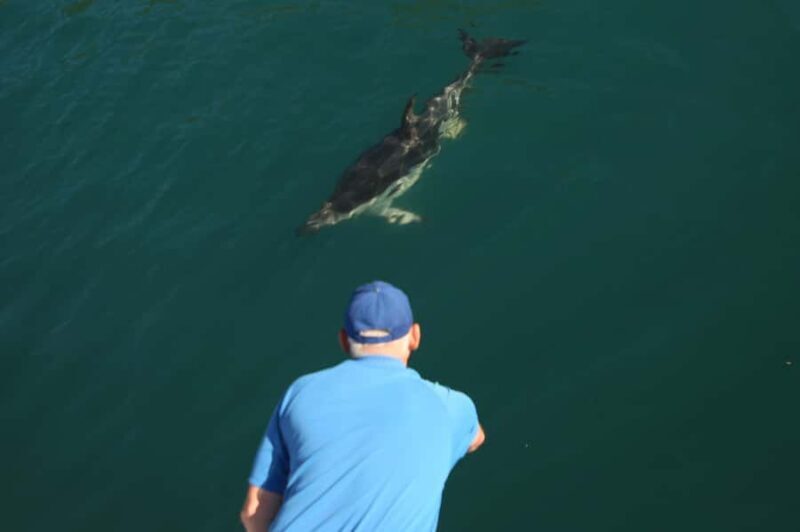 Motuara Island Sanctuary: Wildlife & Dolphin Watching Tour - Final Thoughts