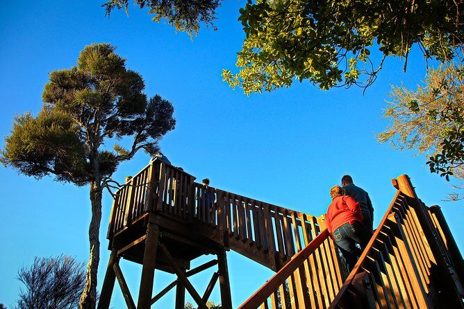 Motuara Wildlife Sanctuary Tour and Dolphin Cruise from Picton - A Detailed Look at the Tour Experience