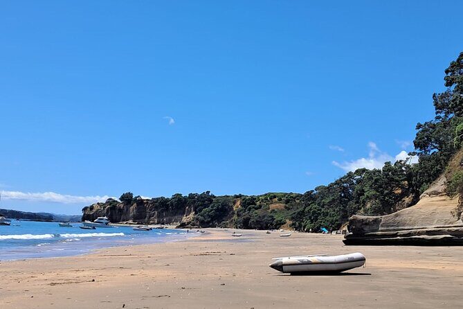 Motuihe Island Day Trip Ferry from Auckland - An Honest Look at the Experience