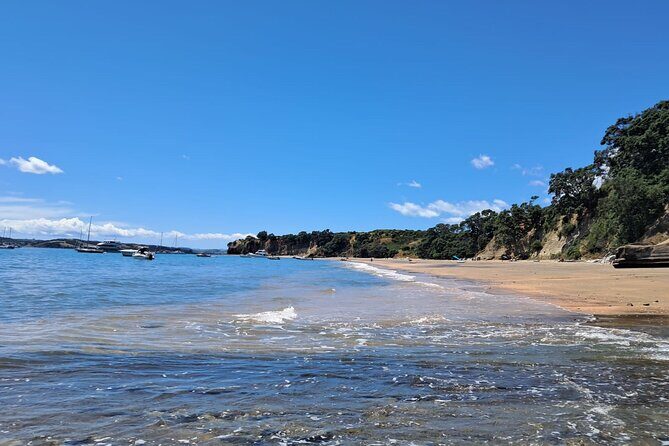 Motuihe Island Day Trip Ferry from Auckland - What We Like and What to Watch Out For