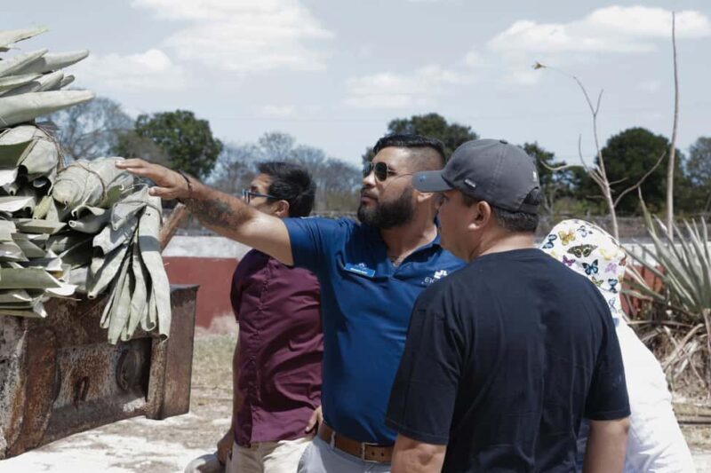 Motul, Hacienda, Xcambo, Pink Salt Mine & Progreso Day Trip - Key Points