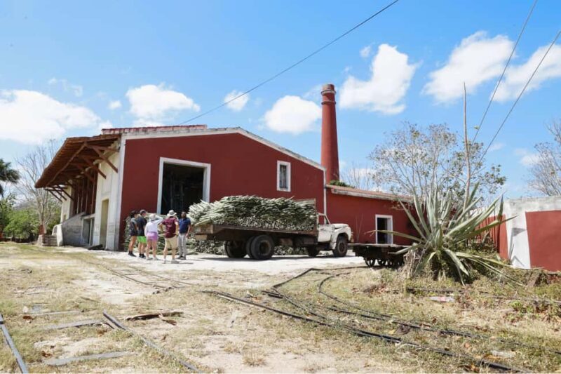 Motul, Hacienda, Xcambo, Pink Salt Mine & Progreso Day Trip - FAQ