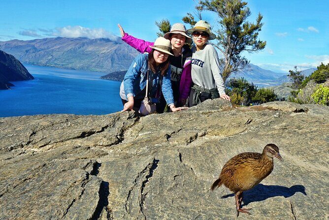 Mou Waho Island Cruise & Self-Guided Nature Walk - Setting the Scene: Wanaka’s Natural Charm and What This Tour Offers