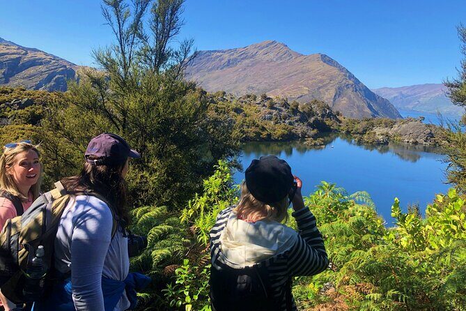 Mou Waho Island Cruise & Self-Guided Nature Walk - What Could Be Better?