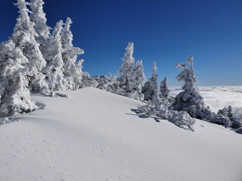 Mount Arber: Snowshoeing in the Bavarian Forest Guided Tour - An Authentic Snowshoe Experience in the Bavarian Forest