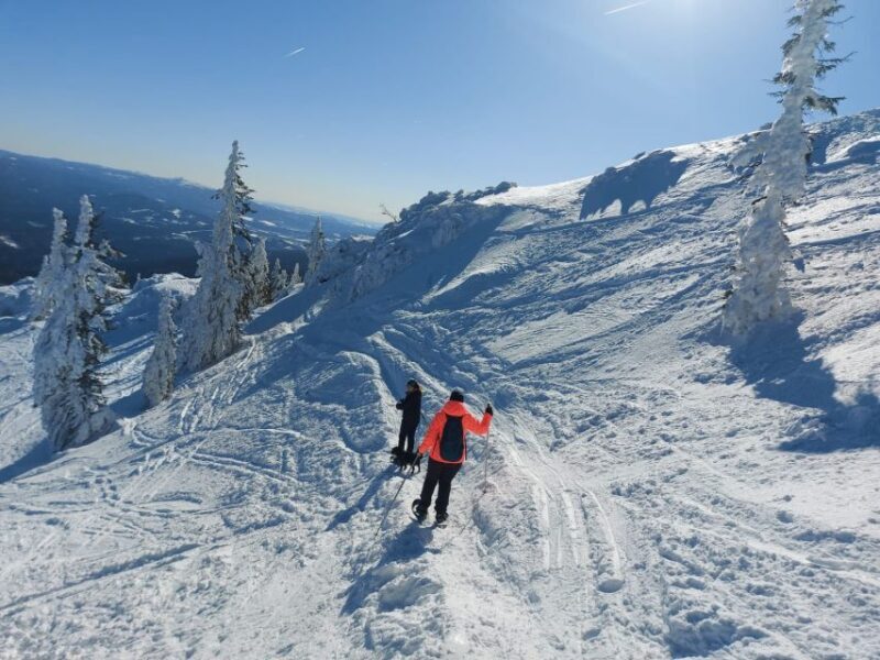 Mount Arber: Snowshoeing in the Bavarian Forest Guided Tour - Meeting Point and Logistics