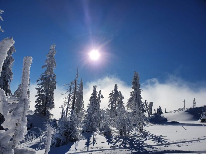 Mount Arber: Snowshoeing in the Bavarian Forest Guided Tour - Who Should Consider This Tour?