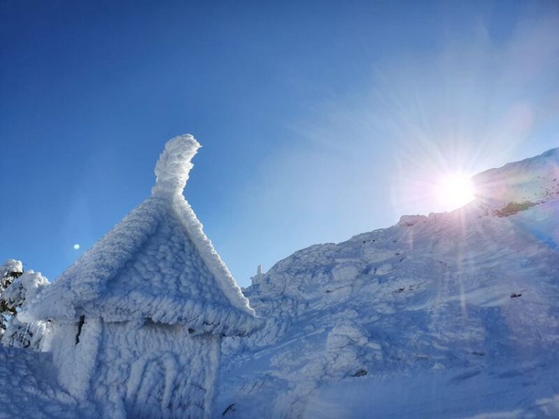Mount Arber: Snowshoeing in the Bavarian Forest Guided Tour - Final Thoughts