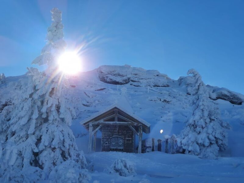 Mount Arber: Snowshoeing in the Bavarian Forest Guided Tour - FAQ