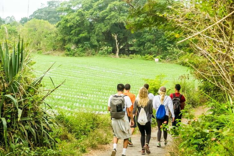 Mount Batur: 2D1N Kintamani Tour with Private Sunrise Hiking - A Practical Breakdown of the Tour