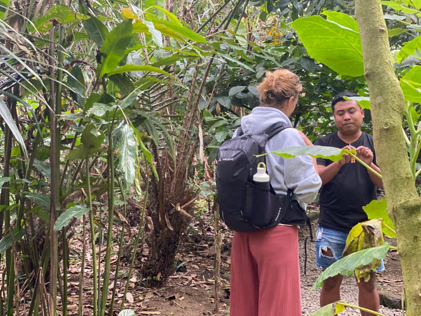 Mount Batur 4WD Jeep Sunrise Tour Experience - Frequently Asked Questions