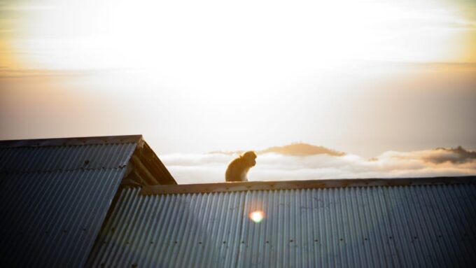 Mount Batur Private Tour: Sunrise Trekking & Hot Spring - Frequently Asked Questions