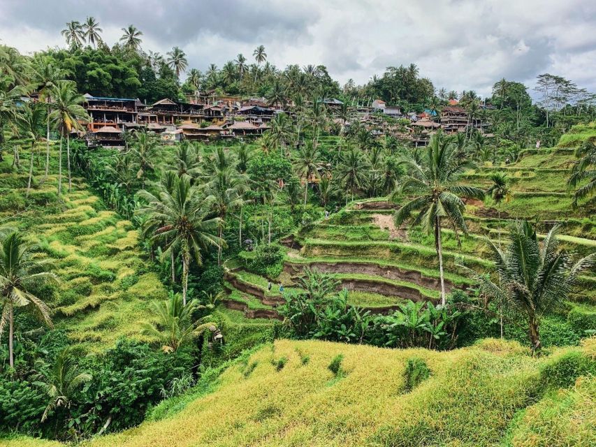 Mount Batur: Sunrise Trek & Ubuds Best Sights Experience - Ubud Rice Terraces