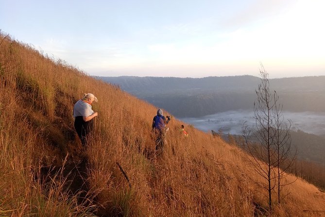 Mount Batur Sunrise Trekking Guide - Coffee Plantation Visit