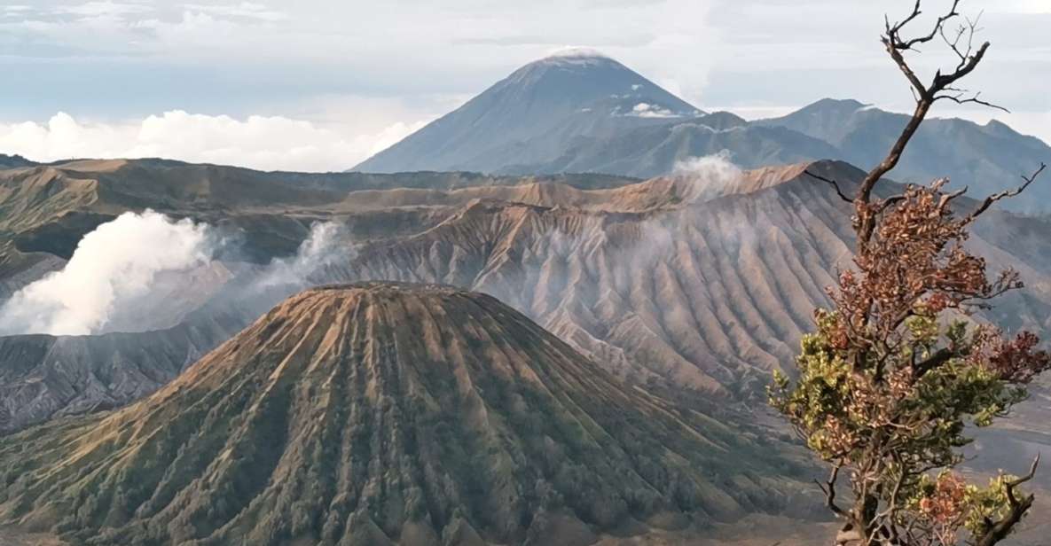 Mount Bromo Sunrise 1 Day Private Tour From Surabaya/Malang - Key Points