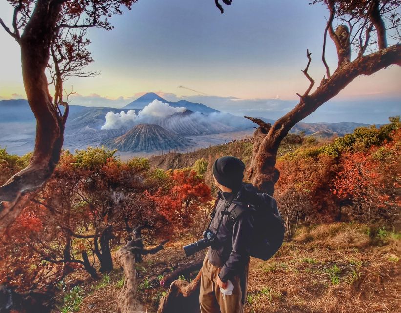 Mount Bromo Sunrise and Madakaripura Waterfall 1 Day Tour - Key Points