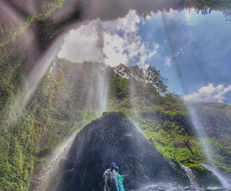 Mount Bromo Sunrise and Madakaripura Waterfall 1 Day Tour - Highlights