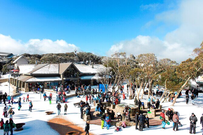 Mount Buller 1 Day Guided Tour - Key Points