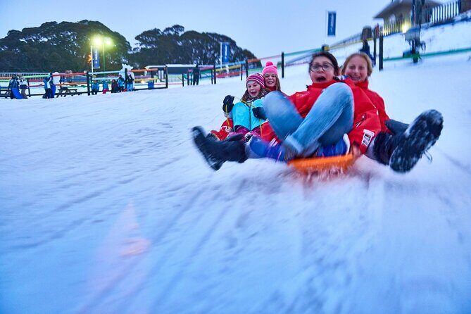 Mount Buller Sightseeing Tour - What Travelers Are Saying