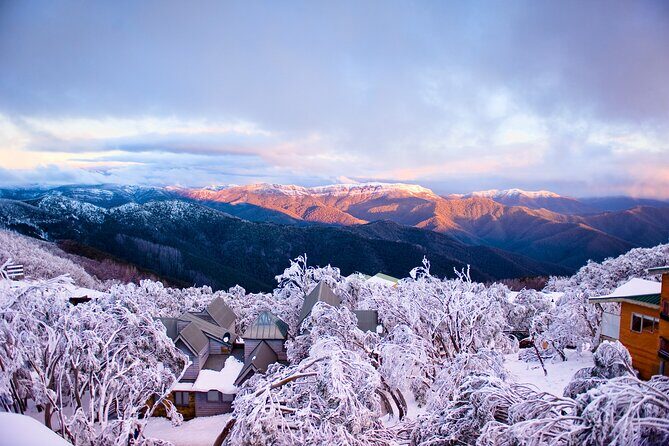 Mount Buller Sightseeing Tour - Who Is This Tour Best For?