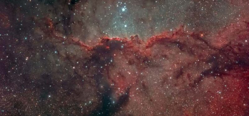 Mount Cook, Lake Pukaki: Refined Dining & Stargazing - Who Should Consider This Tour?