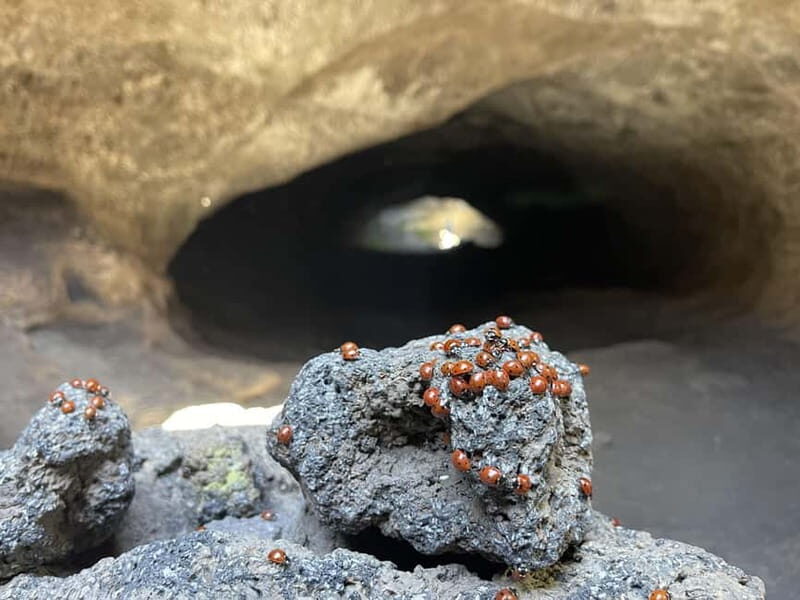 Mount Etna: All around on E-Bike - Experience the Power and Beauty of Mount Etna on an All-Around E-Bike Tour