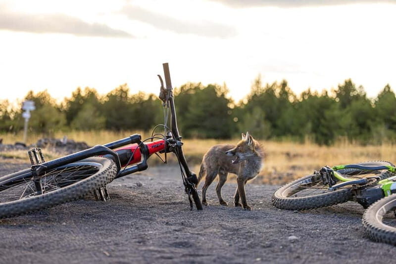 Mount Etna: All around on E-Bike - Final Thoughts