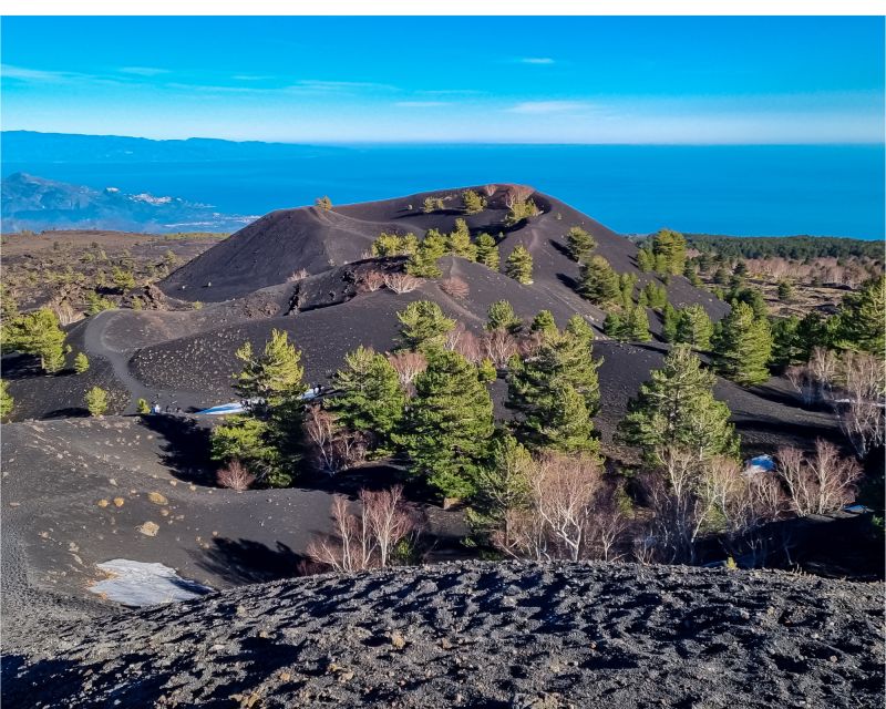 Mount Etna and Taormina From Catania - Important Considerations