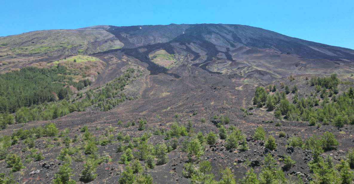 Mount Etna E-Bike Tour: Tour of Etna - Key Points